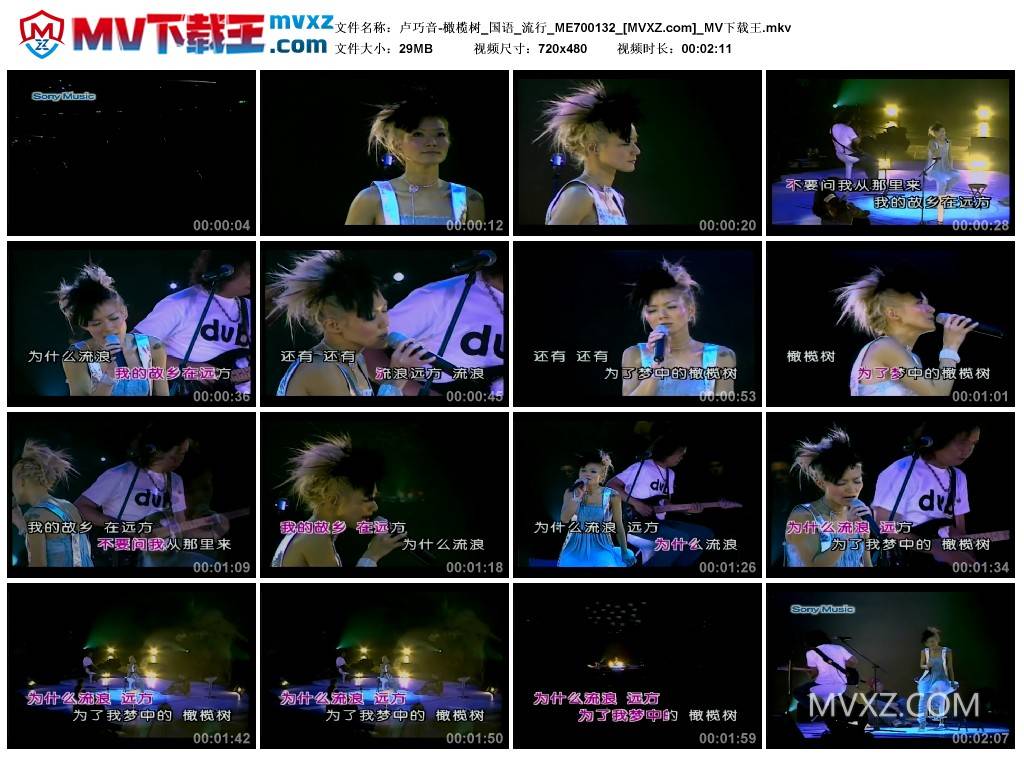 卢巧音-橄榄树_国语_流行_ME700132